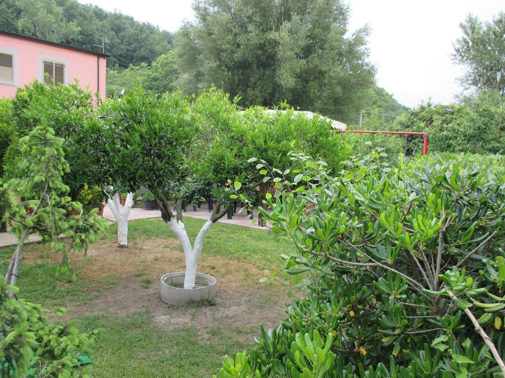 Palinuro Casa Vacanze "Donna Antonia" Exterior photo